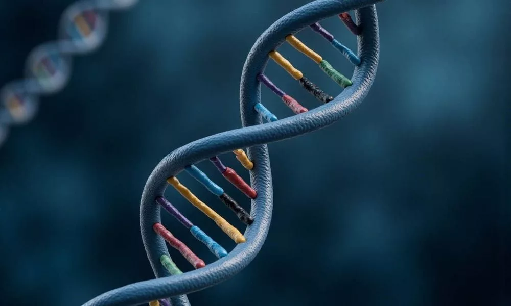 Xét nghiệm ADN sau sinh