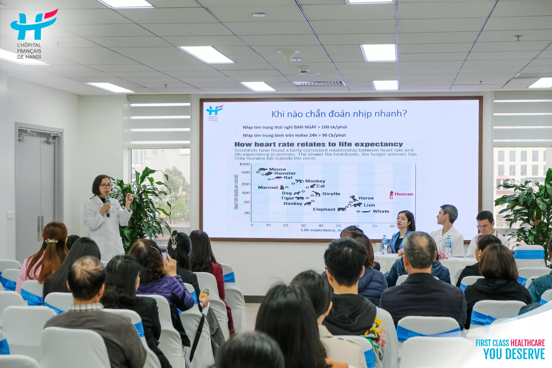 hoi thao tim dap nhanh