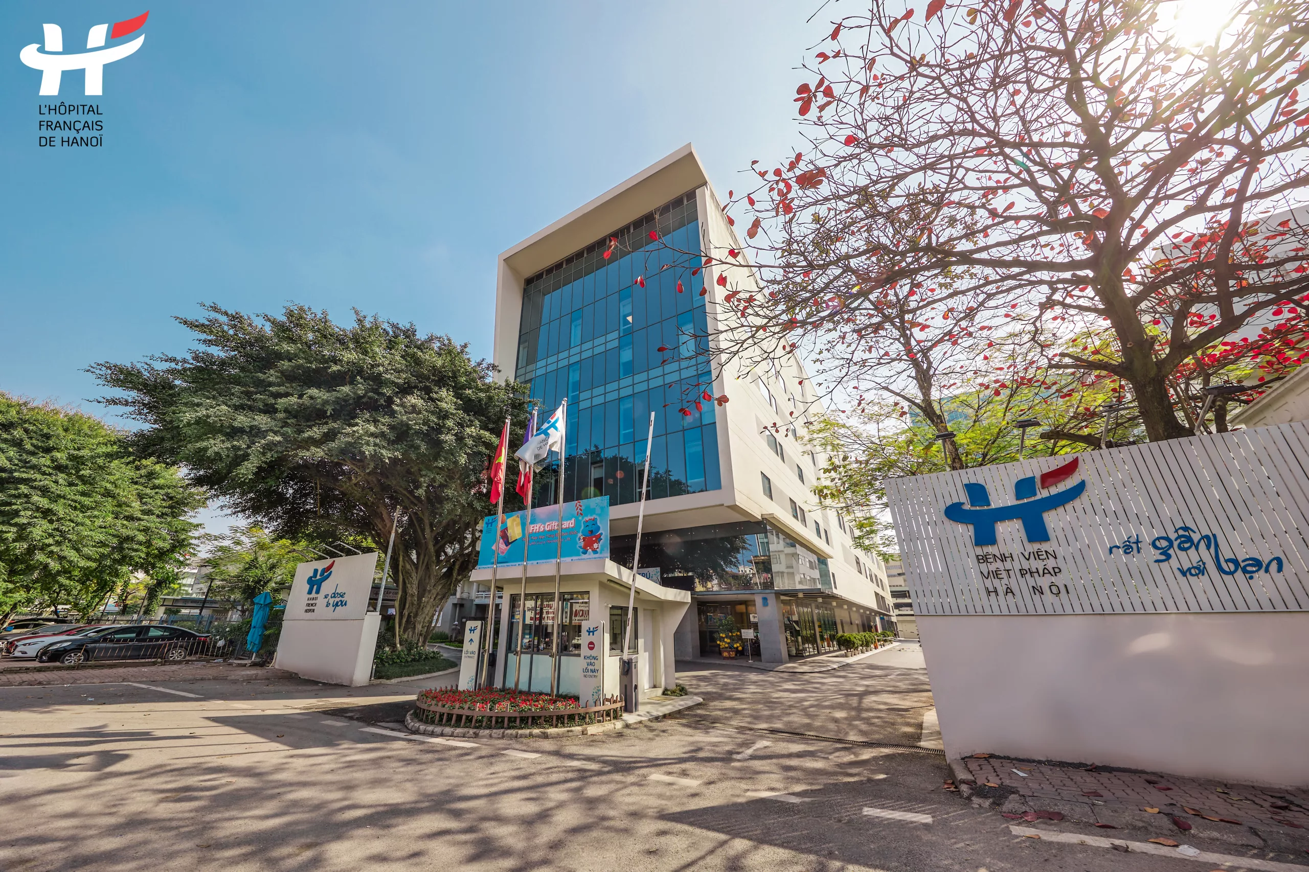 2 surgical teams treat Australian patient in 9-hour tumor removal surgery