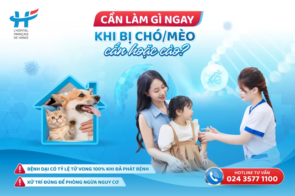 CẦN LÀM GÌ NGAY SAU KHI BỊ CHÓ/ MÈO CẮN HOẶC CÀO?