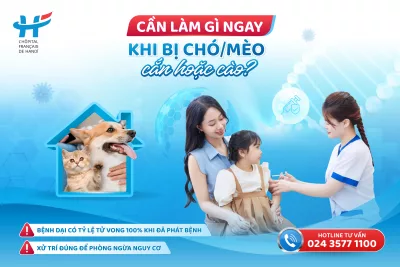 CẦN LÀM GÌ NGAY SAU KHI BỊ CHÓ/ MÈO CẮN HOẶC CÀO?